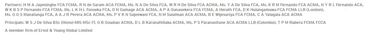 e&y auditor's letter head partners